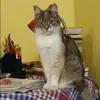 Отзыв от Инга Усова